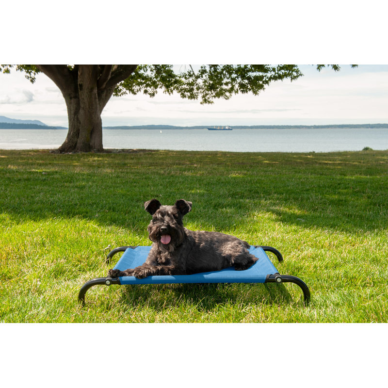 Archie & Oscar™ Halley Reinforced Dog Cot & Reviews Wayfair
